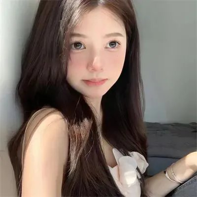 吉娃娃